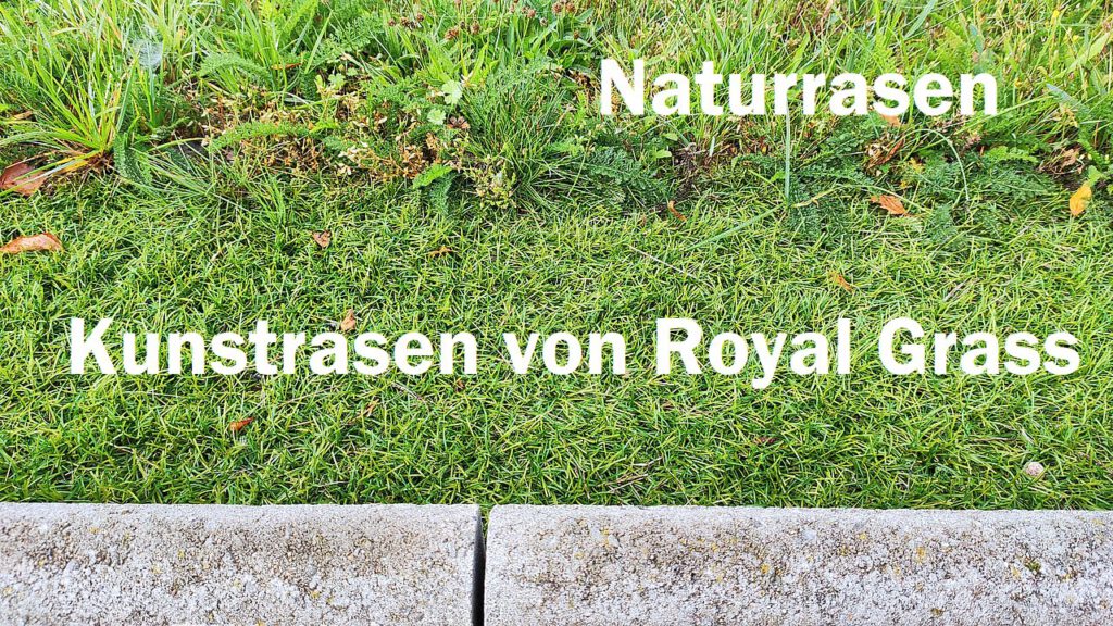 Kunstrasen und Naturrasen kombinieren