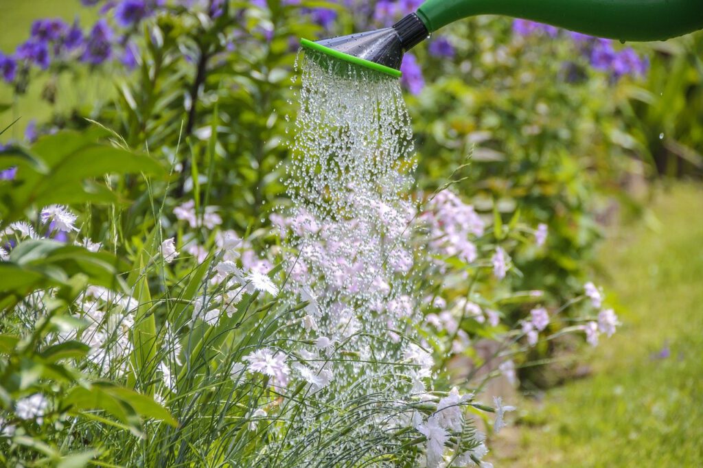 Blumen gießen im Garten